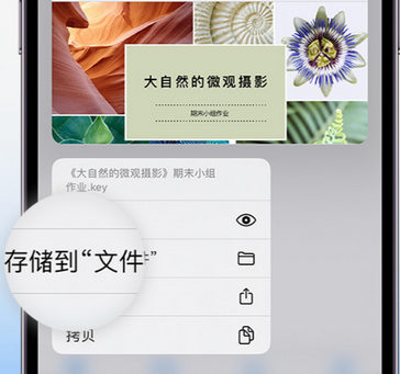 道县apple维修中心分享iPhone文件应用中存储和找到下载文件