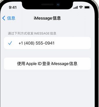 道县apple维修iPhone上无法正常发送iMessage信息