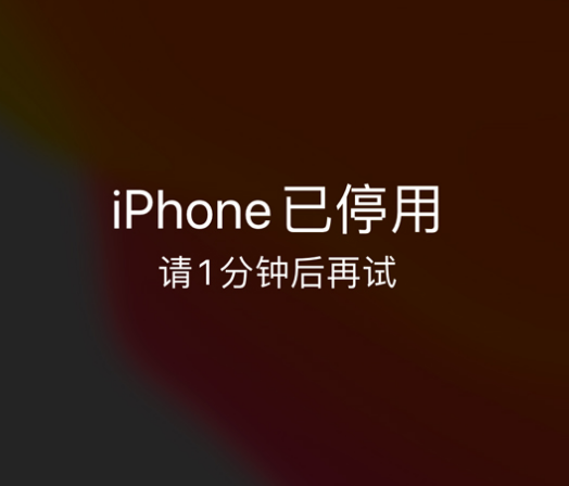 道县苹果手机维修分享:iPhone 显示“不可用”或“已停用”怎么办？还能保留数据吗？ 