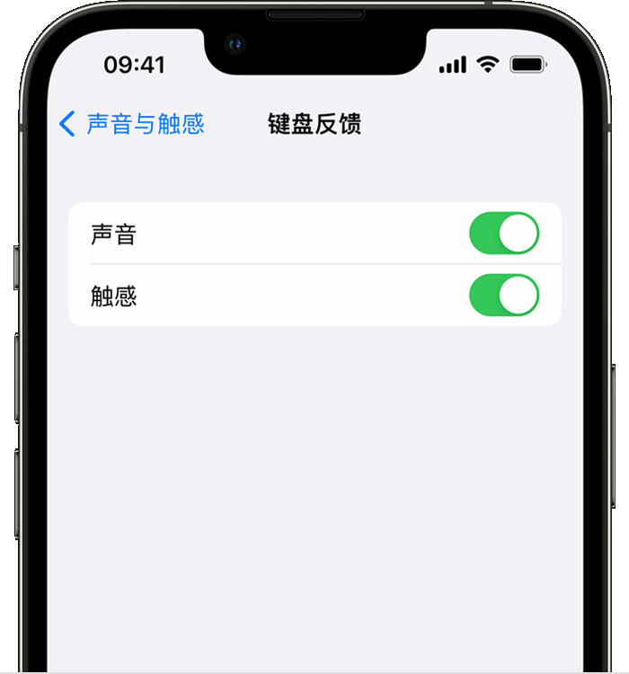 道县苹果14维修店分享如何在 iPhone 14 机型中使用触感键盘 