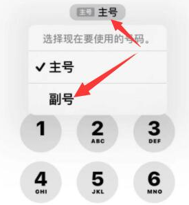 道县苹果14维修店分享iPhone 14 Pro Max使用副卡打电话的方法 