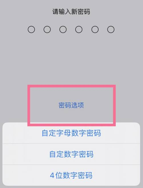 道县苹果14维修分享iPhone 14plus设置密码的方法 