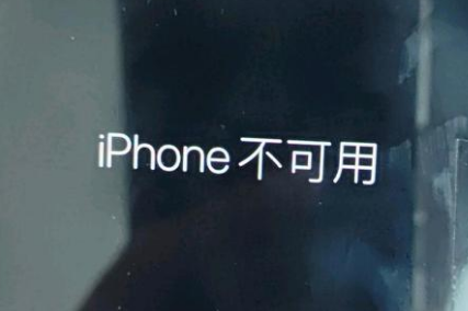 道县苹果服务网点分享锁屏界面显示“iPhone 不可用”如何解决 