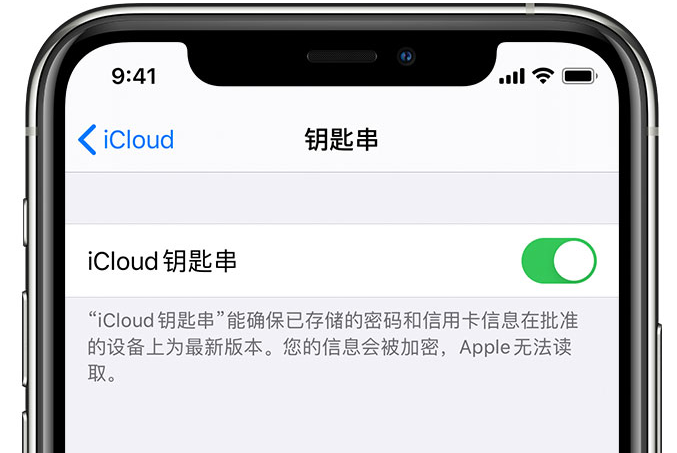 道县苹果手机维修分享在 iPhone 上开启 iCloud 钥匙串之后会储存哪些信息 