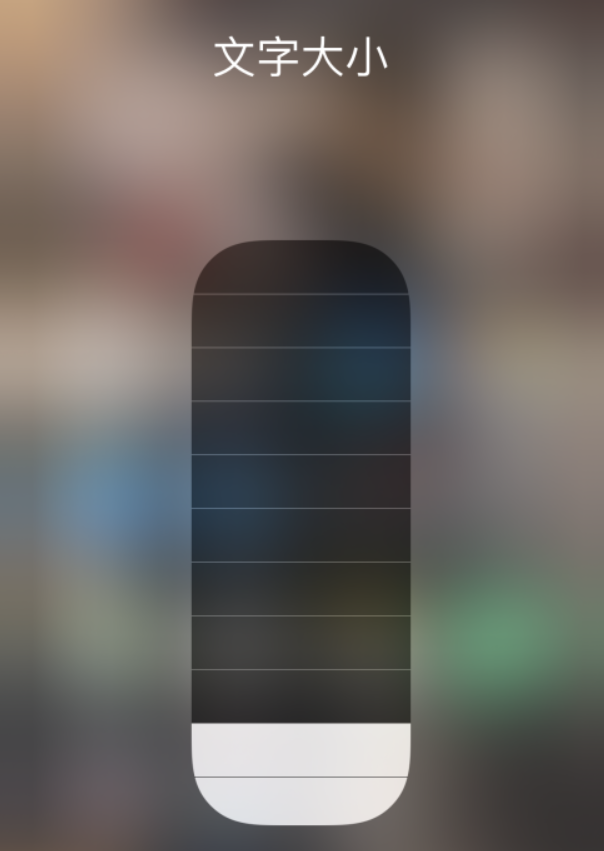 道县苹果手机维修分享小技巧：在 iPhone 控制中心快速调节字体大小 