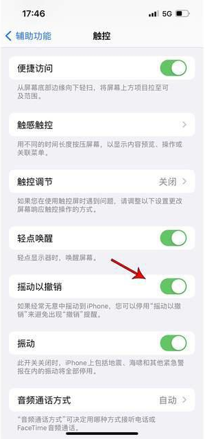 道县苹果手机维修分享iPhone手机如何设置摇一摇删除文字 