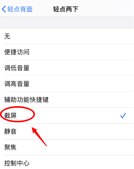 道县苹果手机维修分享iPhone12如何启用双击截屏 